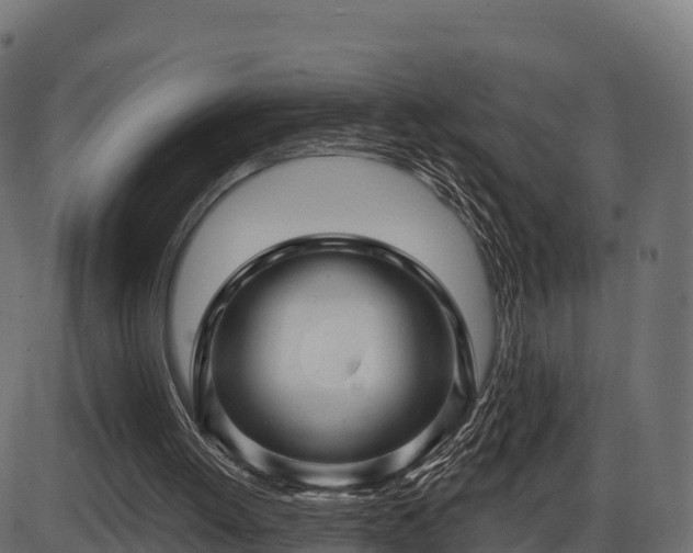 X0000086300052200704091032