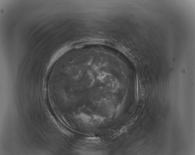 X0000086300053200704091032