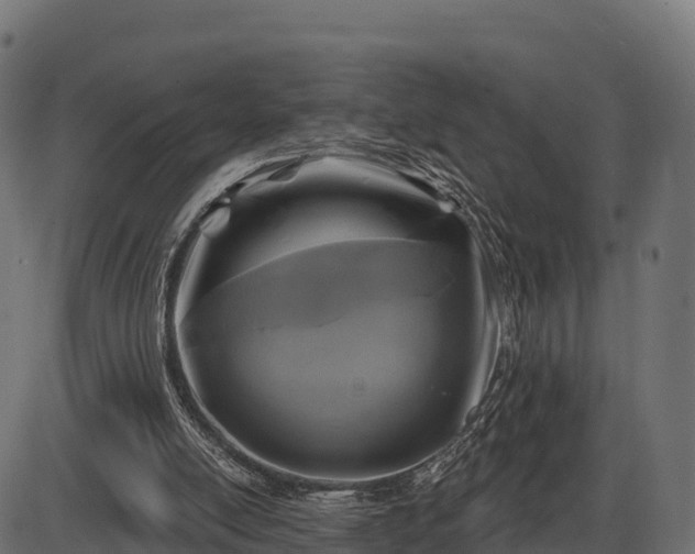 X0000086300054200704091032