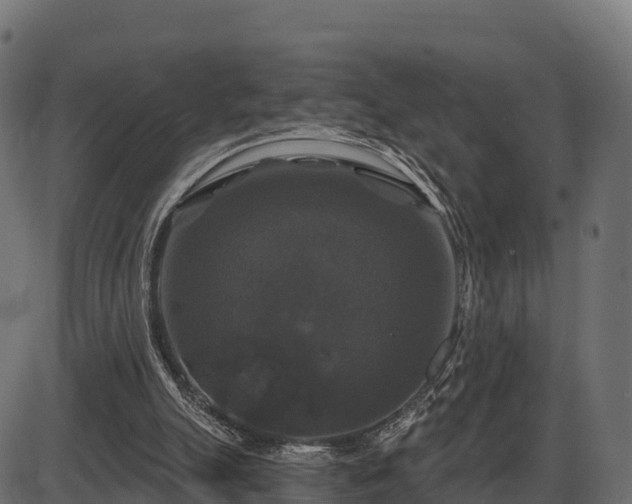 X0000086300055200704091032