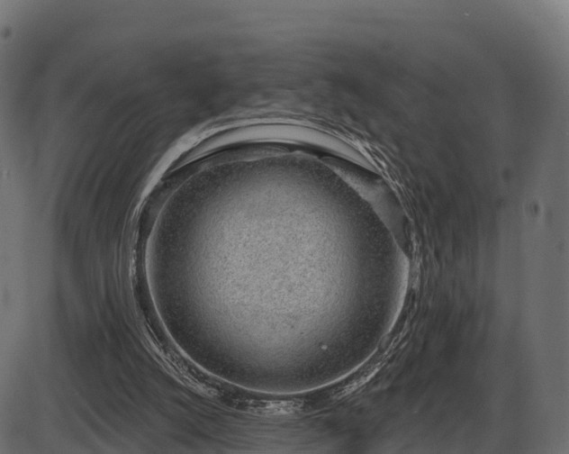 X0000086300056200704091032