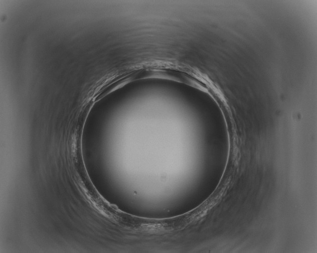 X0000086300057200704091032