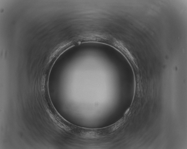 X0000086300058200704091032