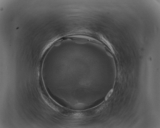 X0000086300059200704091032