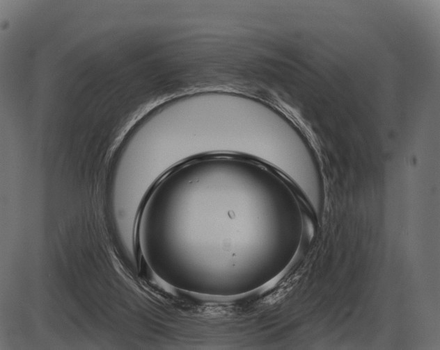 X0000086300060200704091032