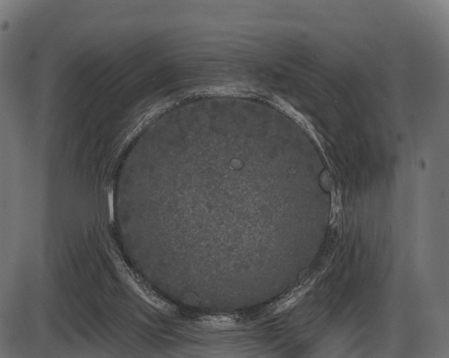 X0000086300061200704091032