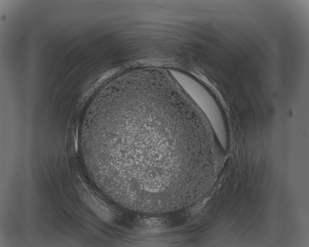 X0000086300062200704091032