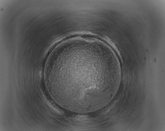 X0000086300063200704091032