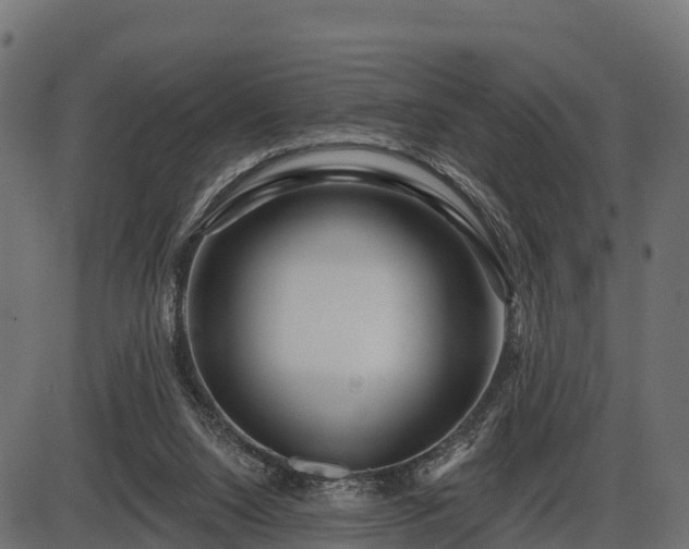 X0000086300064200704091032