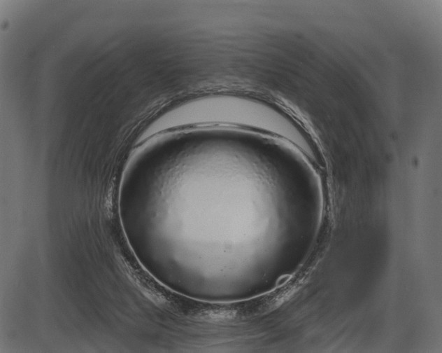 X0000086300065200704091032