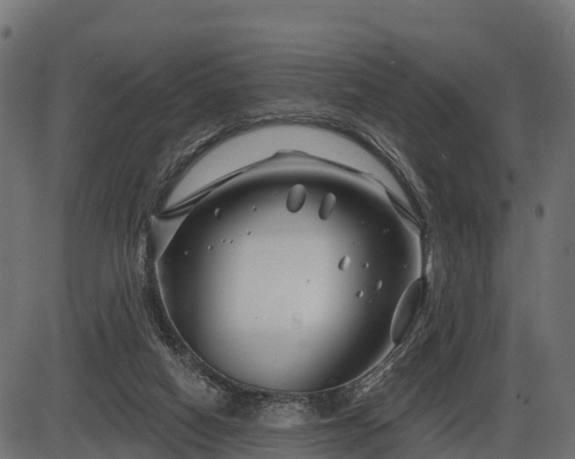 X0000086300066200704091032