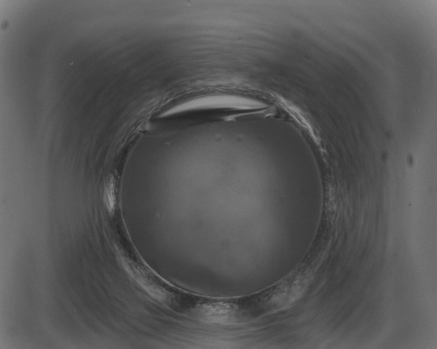 X0000086300069200704091032