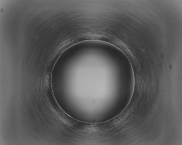 X0000086300071200704091032