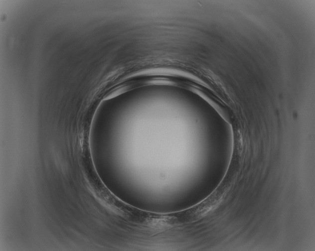 X0000086300072200704091032