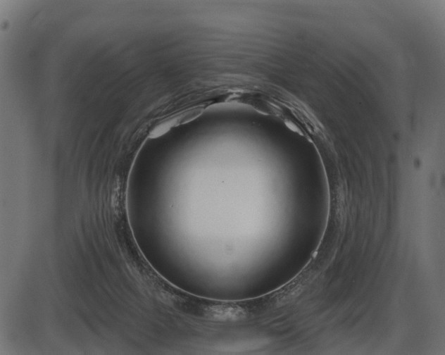 X0000086300073200704091032