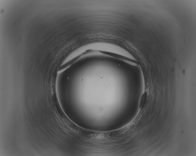 X0000086300074200704091032