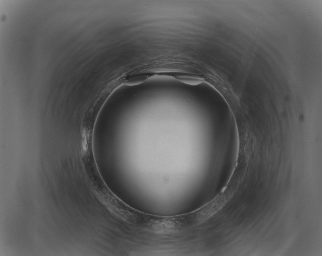 X0000086300075200704091032