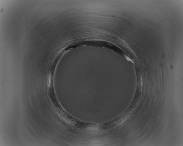 X0000086300076200704091032