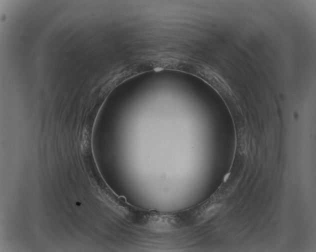 X0000086300077200704091032