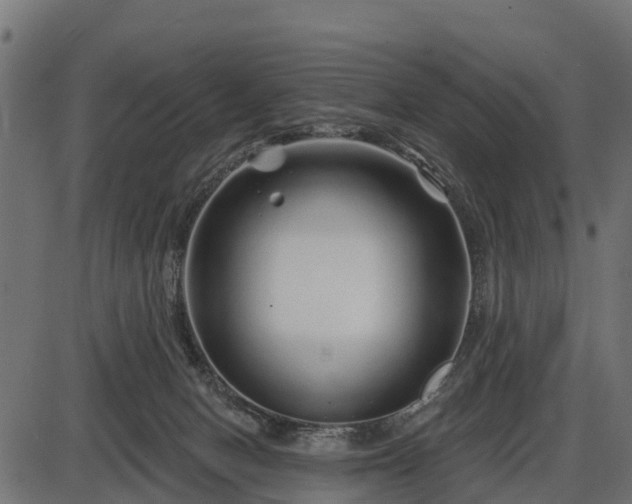 X0000086300078200704091032