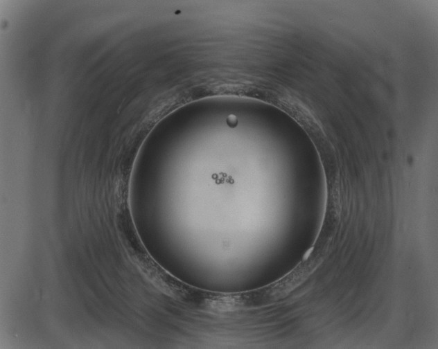 X0000086300079200704091032