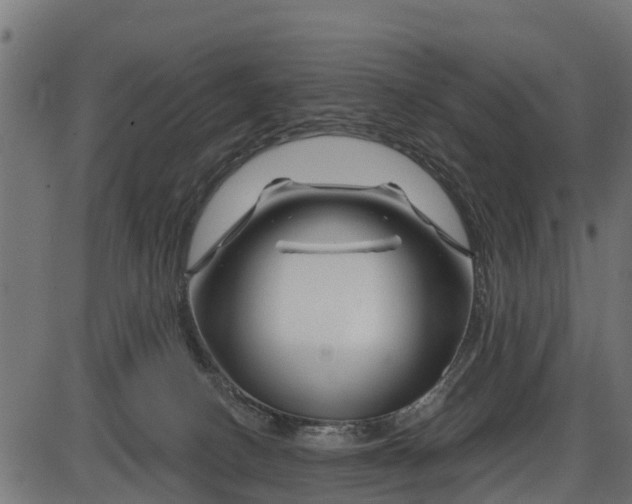 X0000086300082200704091032