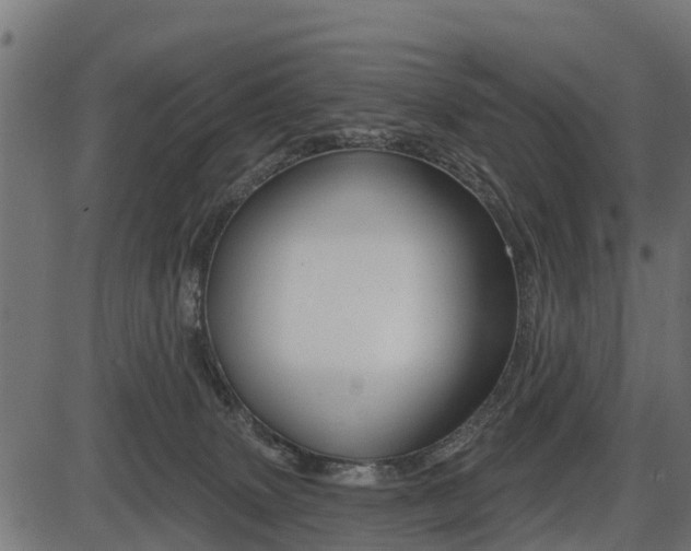 X0000086300083200704091032