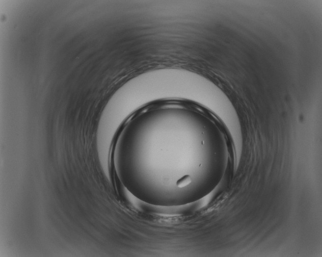 X0000086300084200704091032