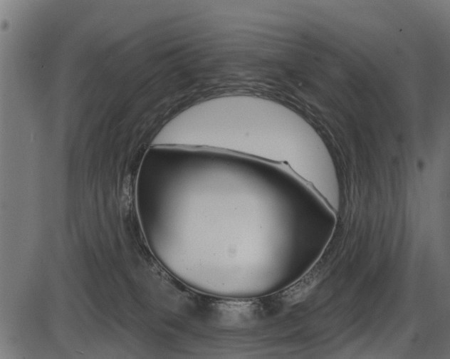 X0000086300085200704091032