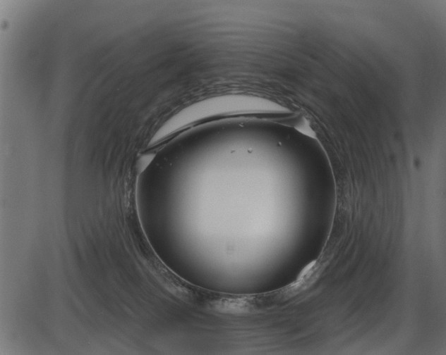 X0000086300086200704091032