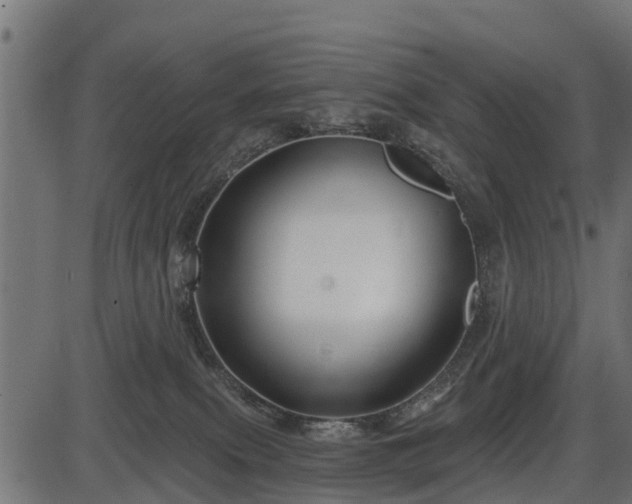 X0000086300087200704091032