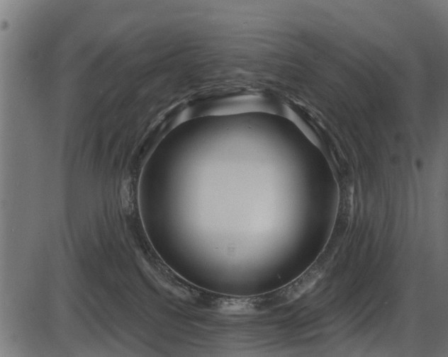 X0000086300088200704091032