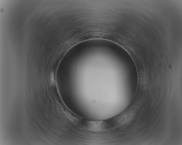 X0000086300089200704091032