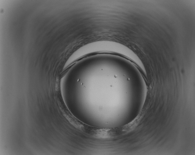 X0000086300090200704091032