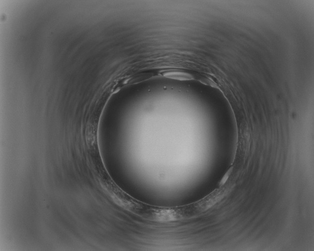 X0000086300091200704091032