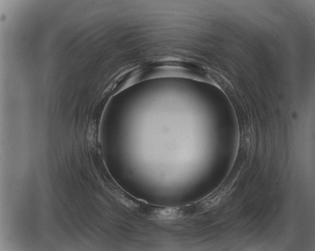 X0000086300092200704091032