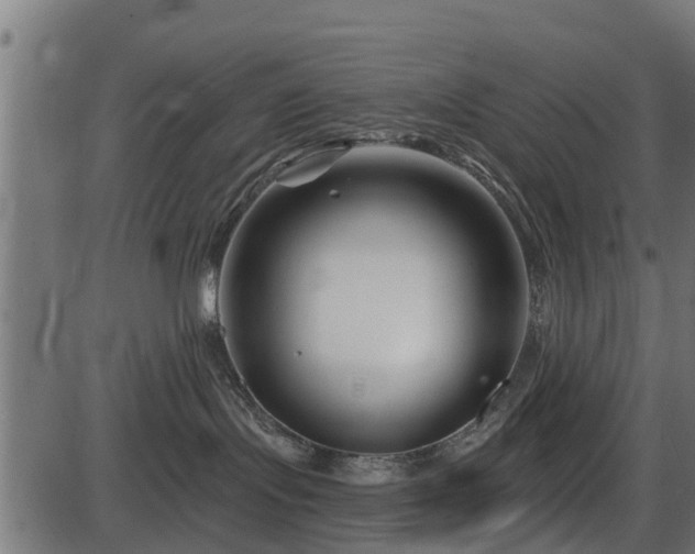 X0000086300095200704091032