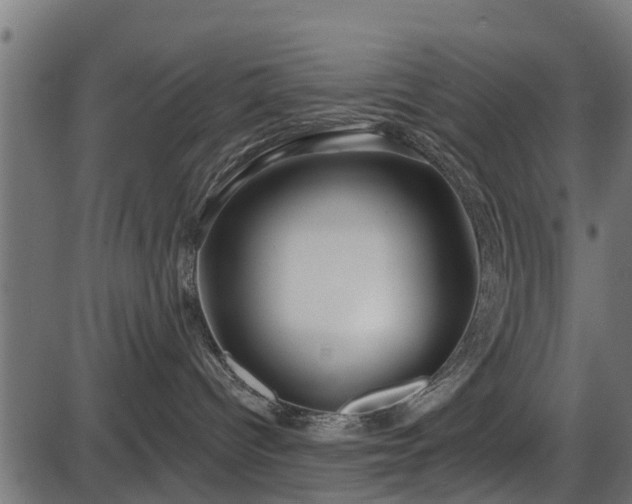 X0000086300096200704091032