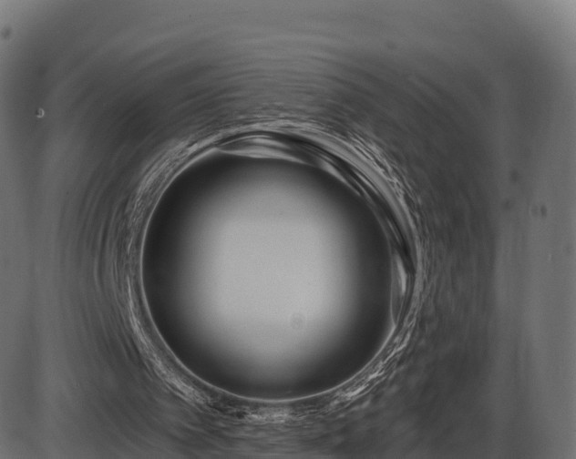 X0000086300097200704091031