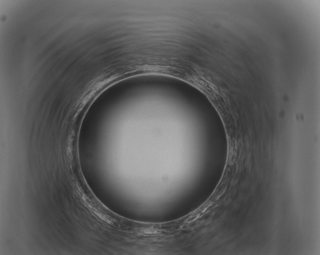 X0000086300098200704091031