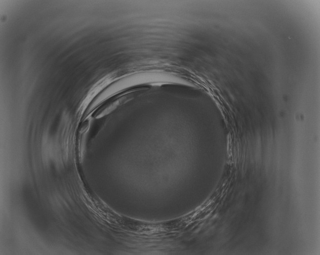 X0000086300099200704091031