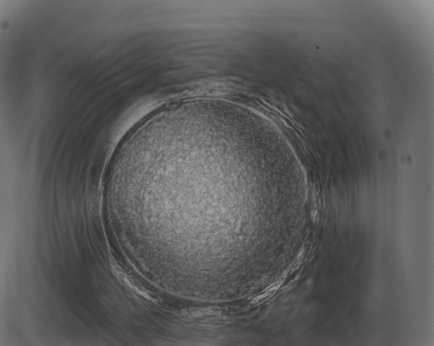 X0000086300100200704091031