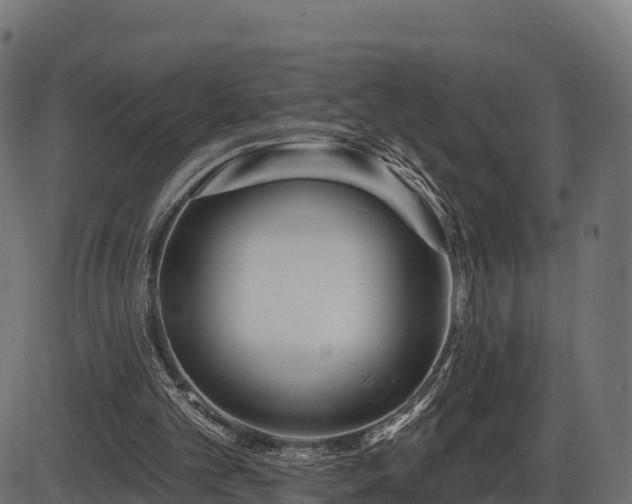 X0000086300101200704091031