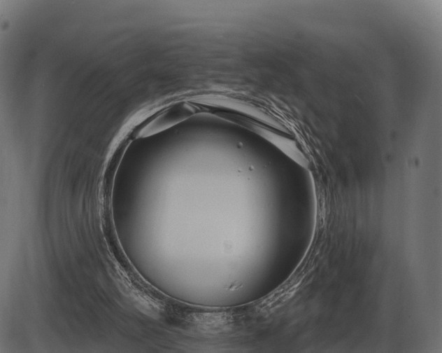 X0000086300102200704091031