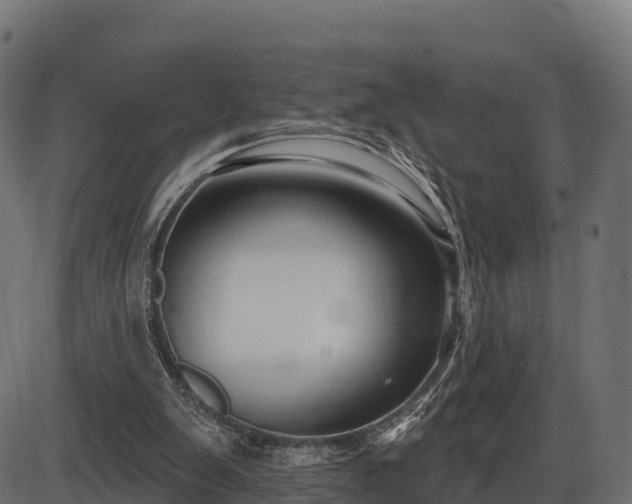 X0000086300103200704091031