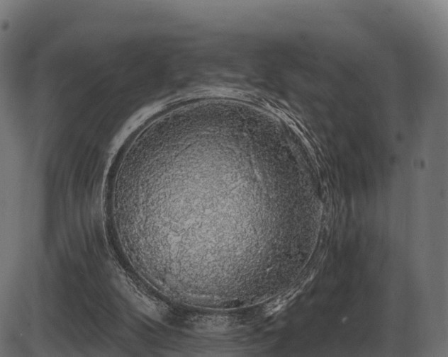 X0000086300104200704091031