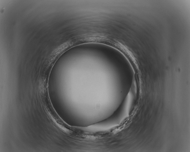 X0000086300105200704091031