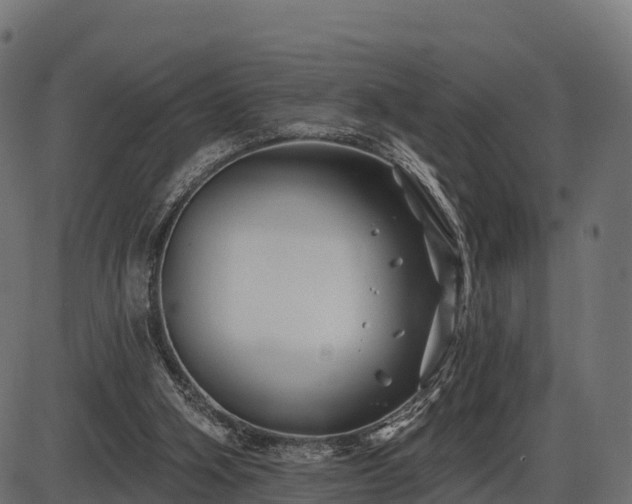 X0000086300106200704091031