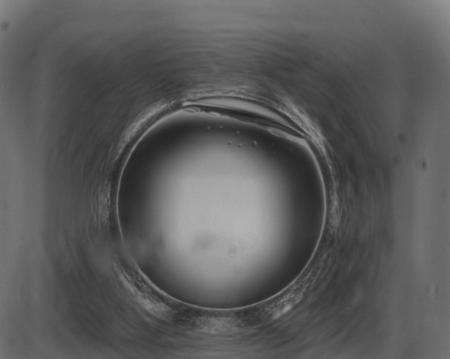 X0000086300107200704091031