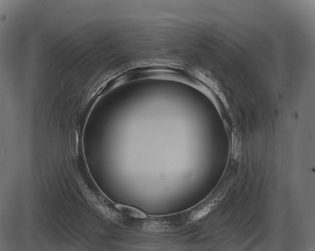 X0000086300109200704091031